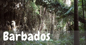 Barbados, National Parks Guy   